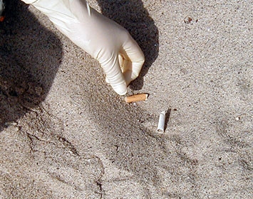 Cigarette butts are the #1 item picked up at our beach cleanups